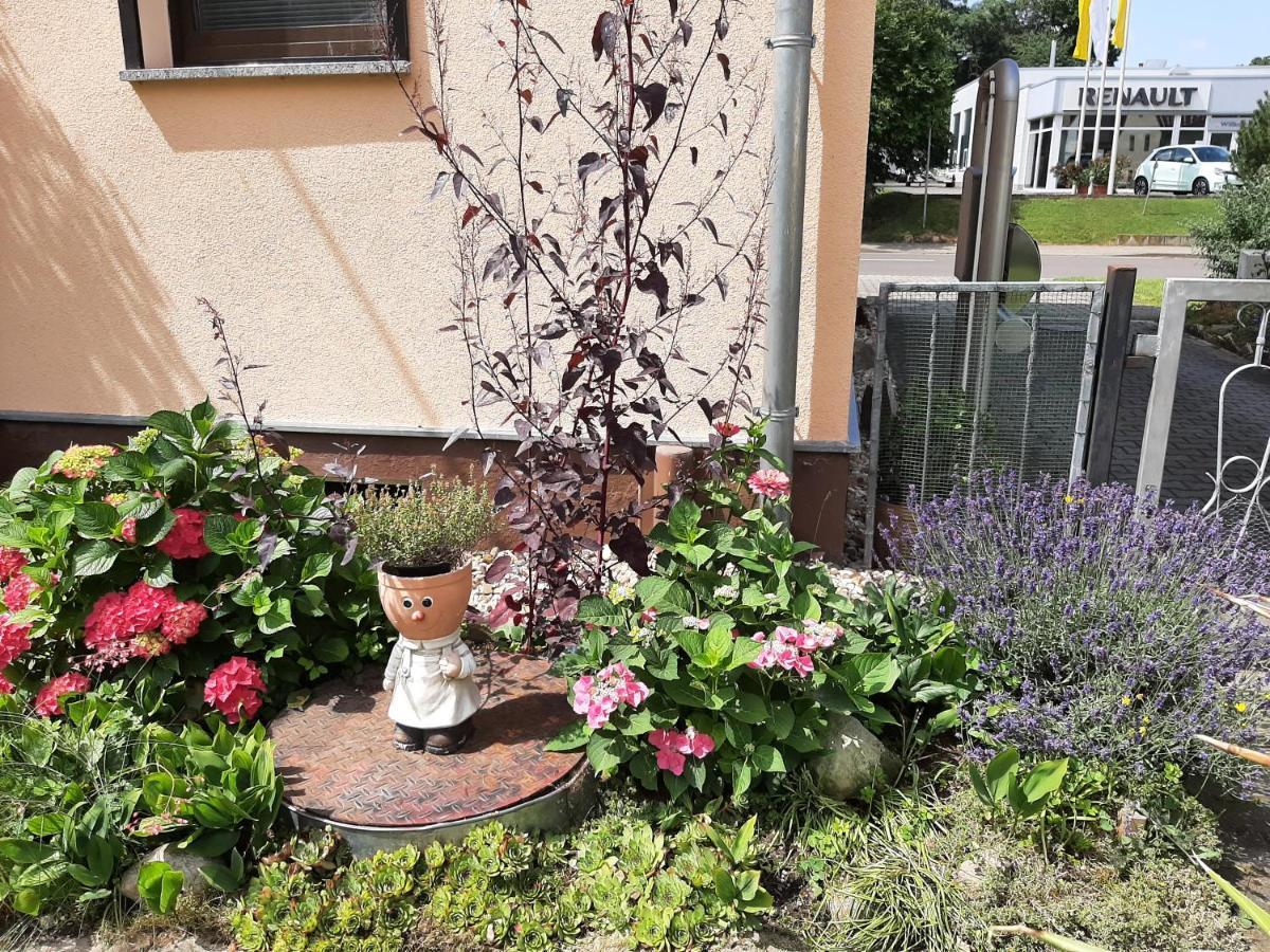 Ferienwohnung Am Park Pegau Bagian luar foto