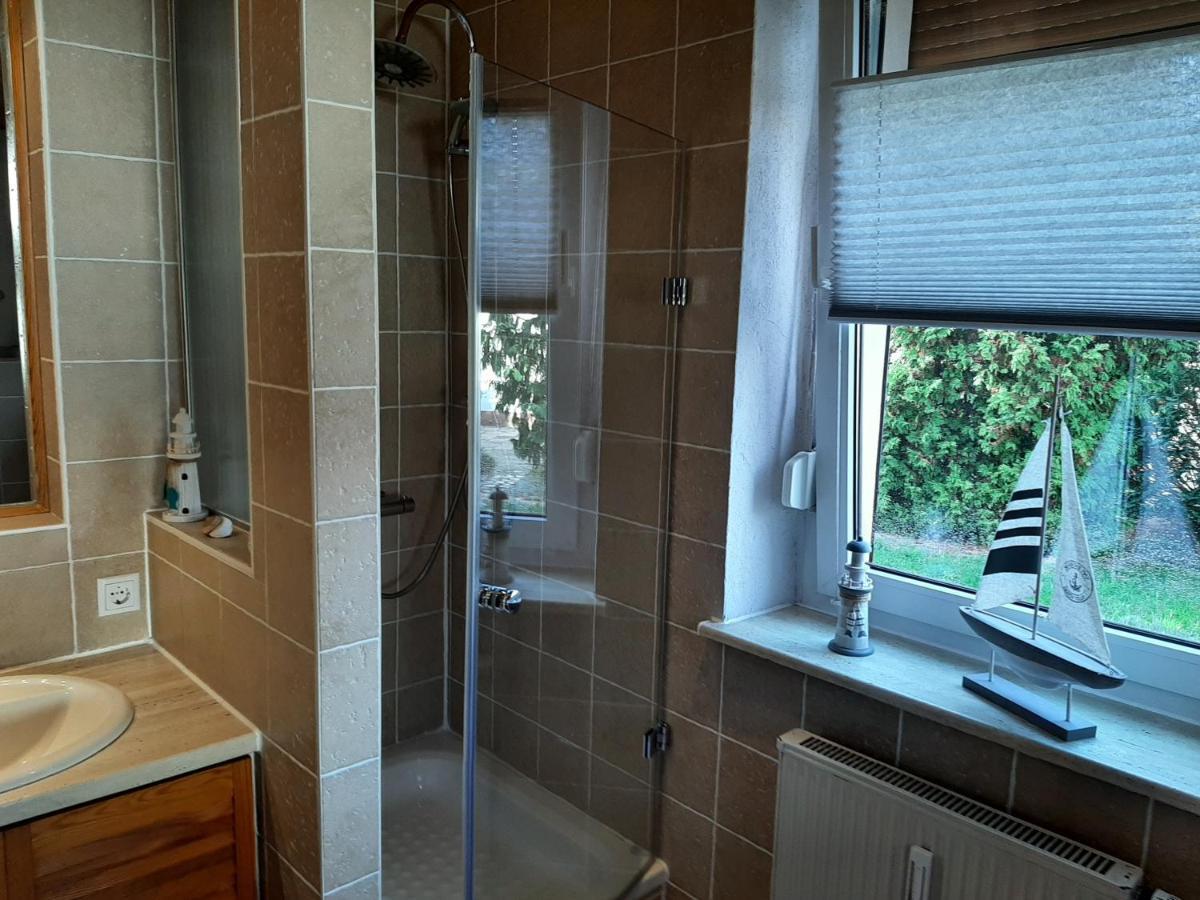 Ferienwohnung Am Park Pegau Bagian luar foto